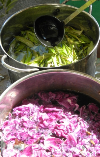 Red cabbage and Lemon myrtle